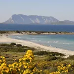 Bandi San Teodoro (Sardinia)