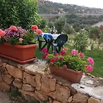 Bed & Breakfast Bandi San Teodoro (Sardinia)