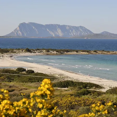 Bandi San Teodoro (Sardinia)