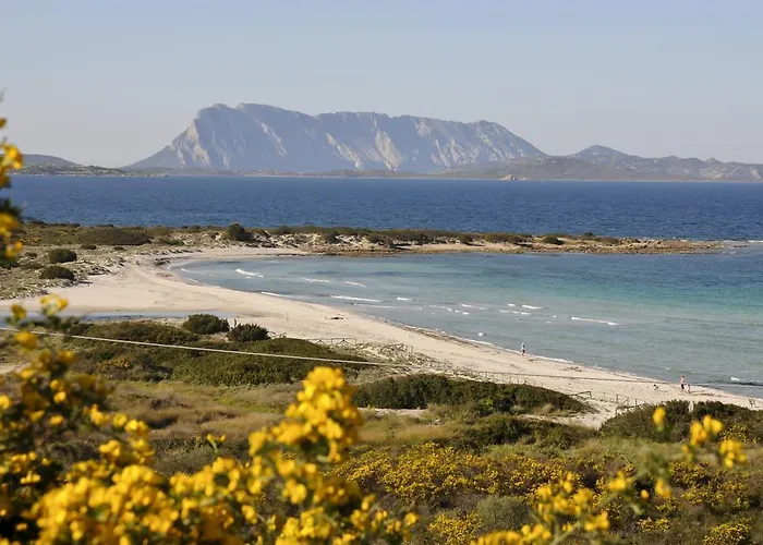 Bandi San Teodoro (Sardinia)