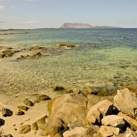Bandi * San Teodoro (Sardinia)