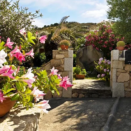Bandi San Teodoro (Sardinia)