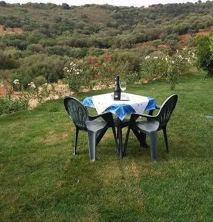 Bandi San Teodoro (Sardinia)