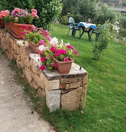 Bandi San Teodoro (Sardinia)